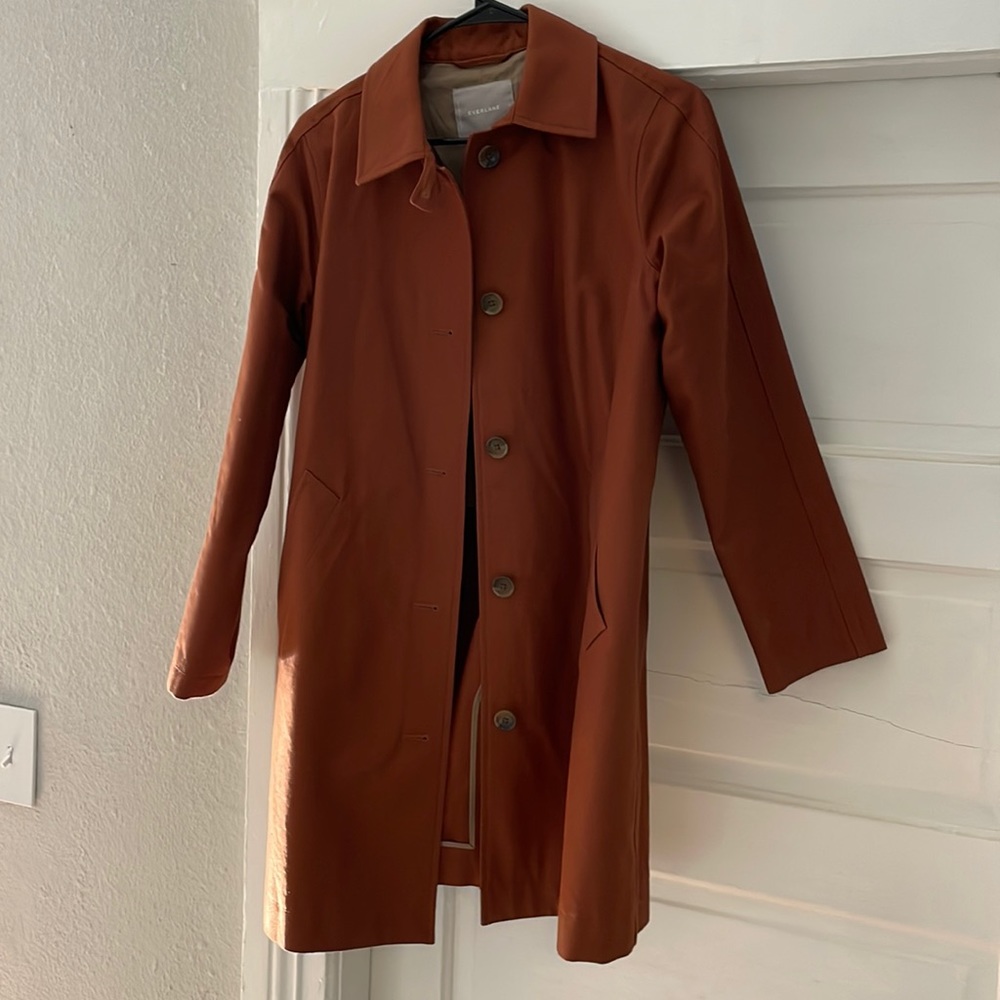 Everlane Rust Brown Pea Coat